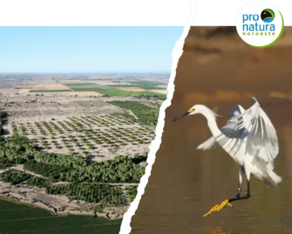 El esfuerzo diplomático para la restauración del Delta del Río Colorado, una misión de largo plazo