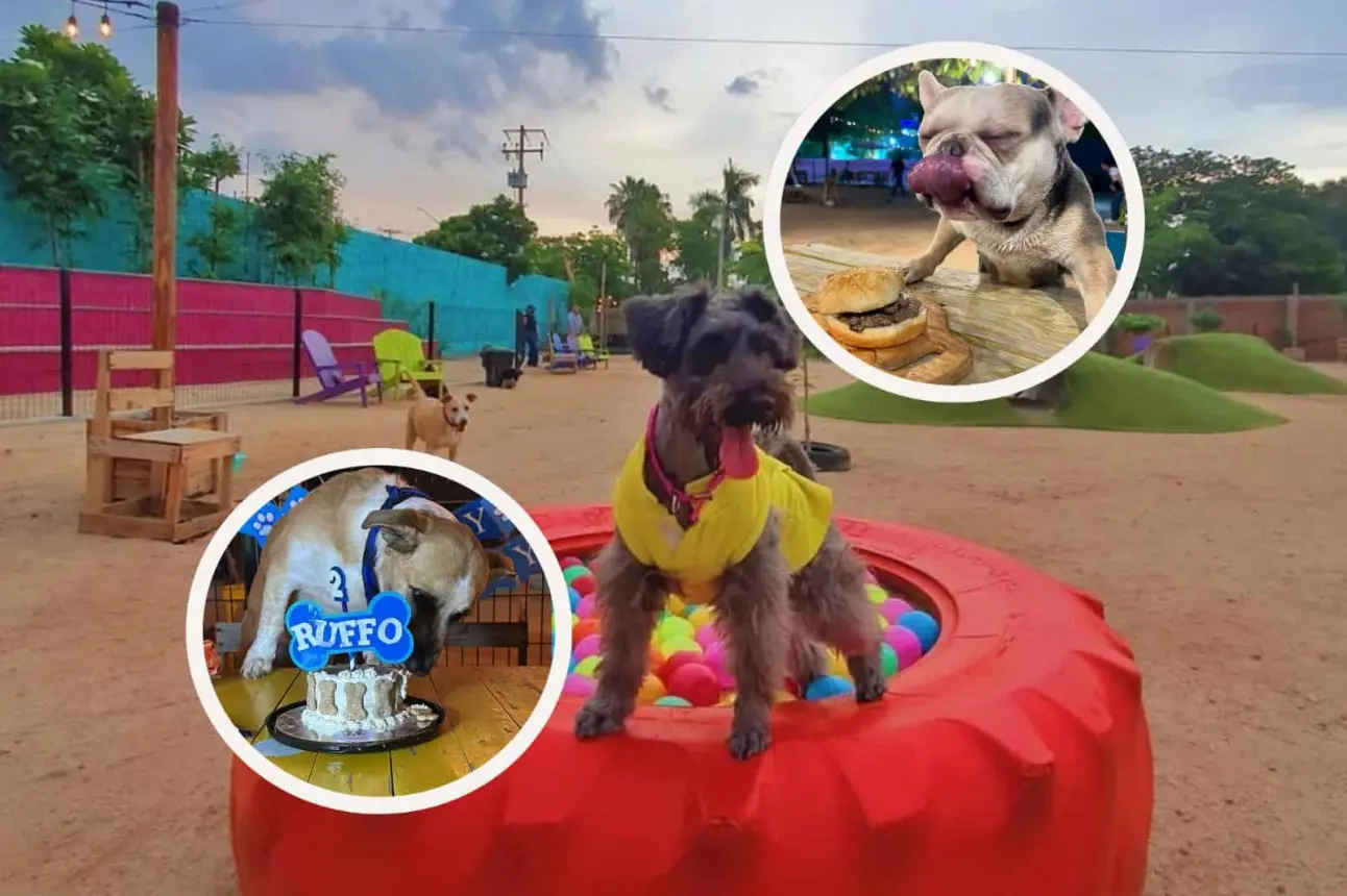 Balanseer, Parque Canino, un espacio diseñado para los lomitos en Culiacán. Foto: Cortesía Balanseer