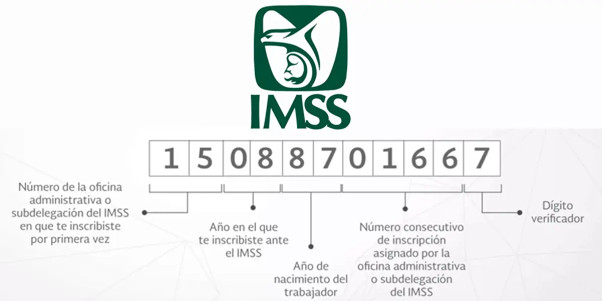 El número de seguro social es requerido para muchos trámites en México. Foto: IMSS Digital