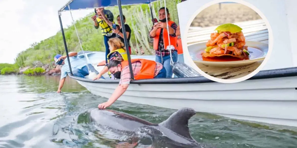 Conoce los costos de los paseos en lancha en Topolobampo en 2024. Foto: Cortesía