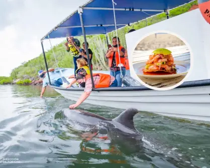 ¿Cuánto cuestan los paseos en lancha en el puerto de Topolobampo?