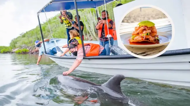 Conoce los costos de los paseos en lancha en Topolobampo en 2024. Foto: Cortesía