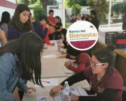 ¿Cómo saber mi folio de registro de la Beca Benito Juárez, si soy estudiante de universidad?