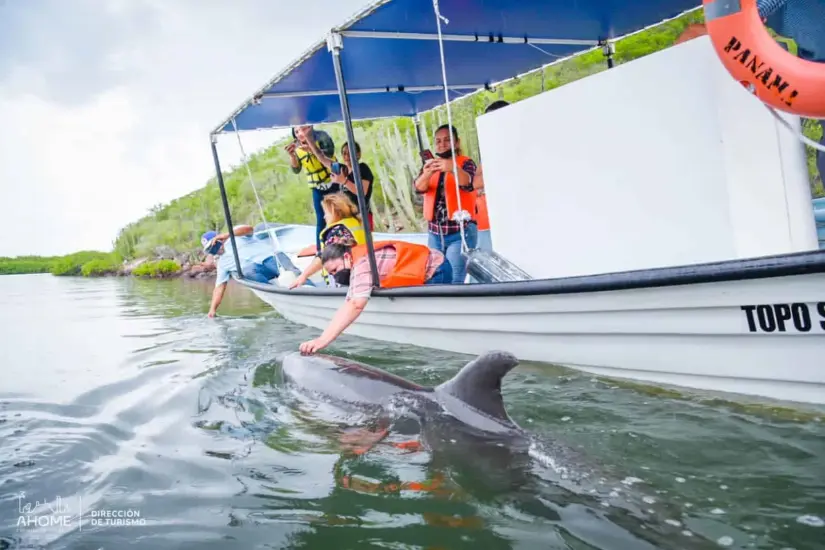 Los paseos en lancha son uno de los atractivos que ofrece Topolobampo a turistas. Foto: Cortesía