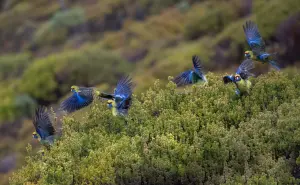 Primer Festival por la Naturaleza en la CDMX; te damos todos los detalles