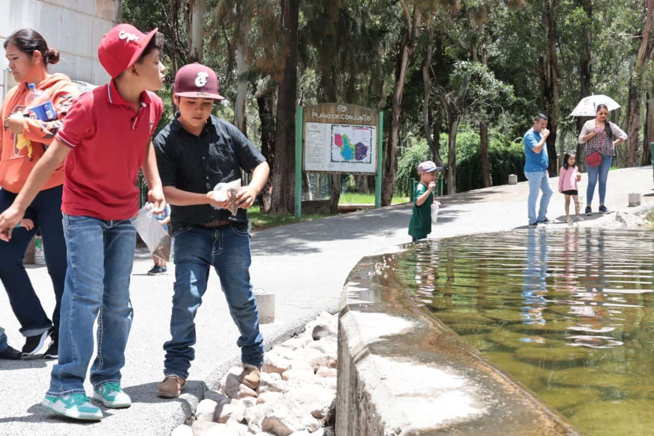 Al Parque y Zoológico La Encantada de Zacatecas, le darán mantenimiento para que los visitantes tengan una mejor experiencia.