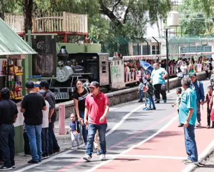 Parque y Zoológico La Encantada de Zacatecas, instalará nuevos juegos y una granja