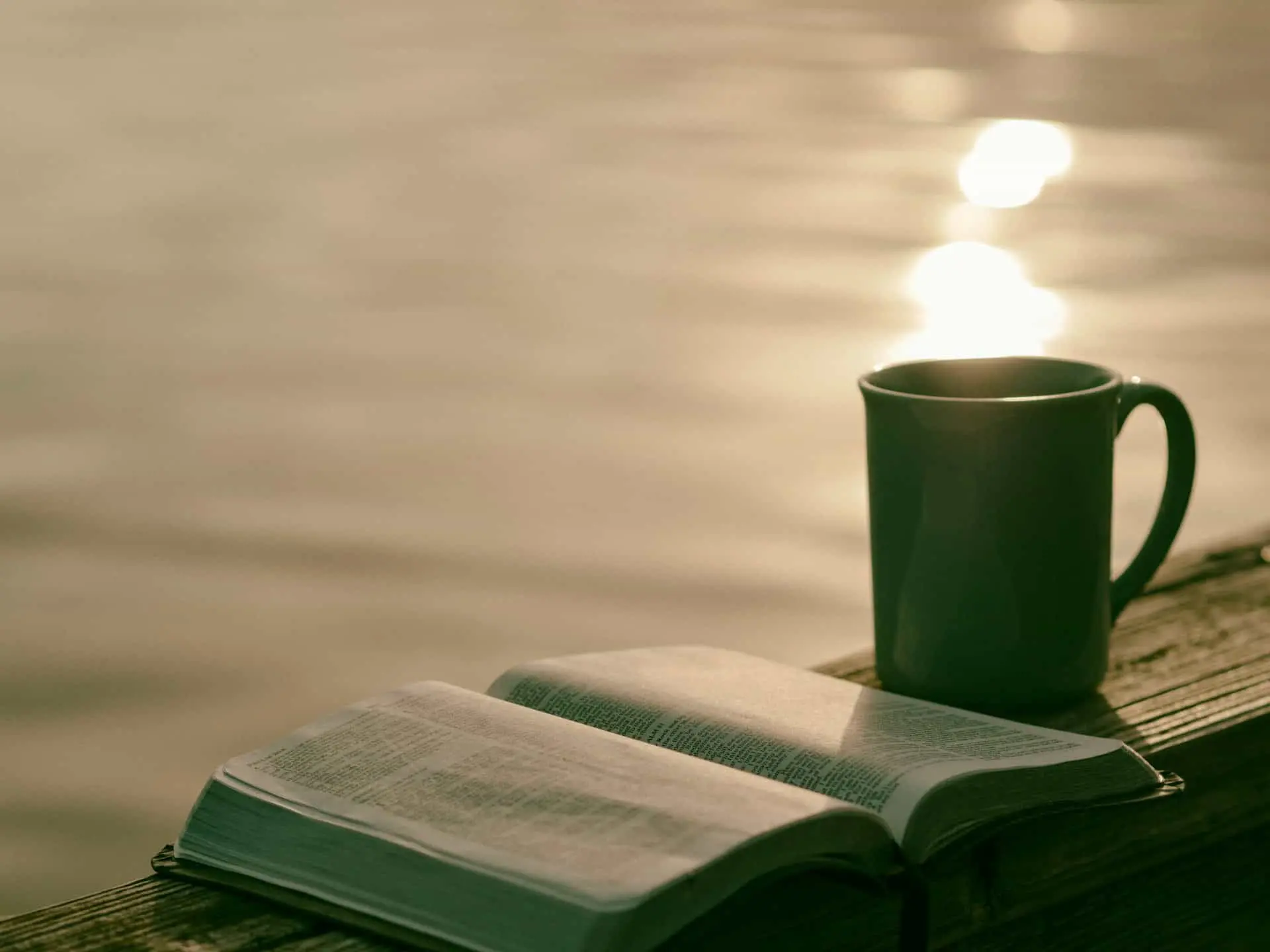 De qué trata el libro Cuando el Amor es Odio