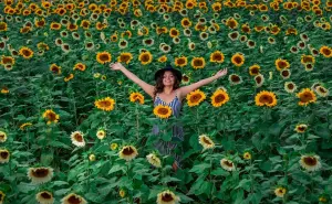 Un rancho cerquita de Guadalajara donde podrás ver girasoles de dos metros de altura