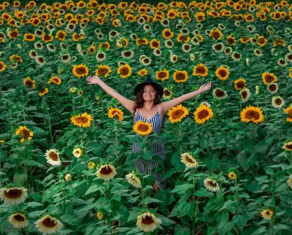 Un rancho cerquita de Guadalajara donde podrás ver girasoles de dos metros de altura