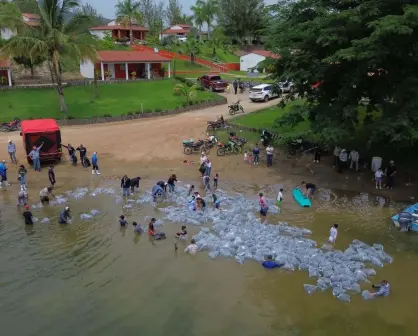 FOTOS: Así se realizó la siembra 2 millones de alevines en la Presa Picachos