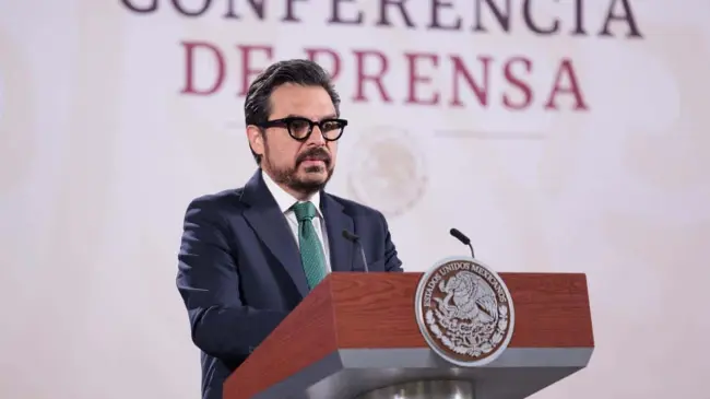 Zoe Robledo, Director del IMSS.