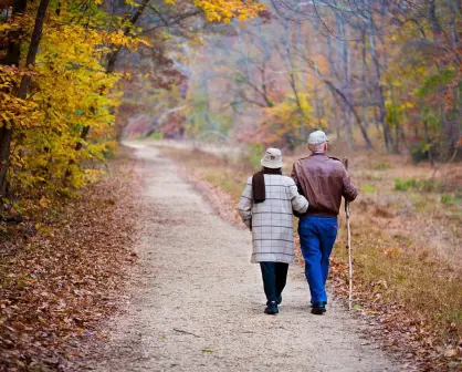 Día del abuelo; frases bonitas para felicitarlos