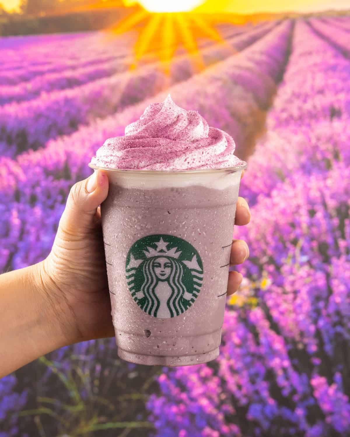 Starbucks tiene promoción en sus bebidas de Lavanda