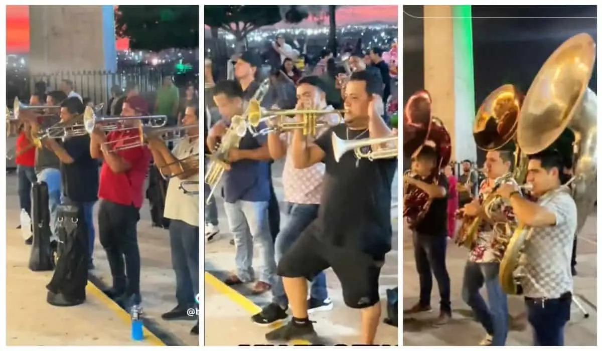 Más de 30 músicos de Culiacán le cantan a la Virgen de Guadalupe para pedirle por la paz. Foto: Captura de pantalla