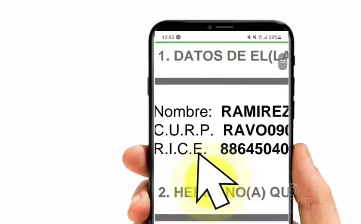 ¿Cómo sacar el RICE del alumno La SEP te explica paso a paso como descargarlo.