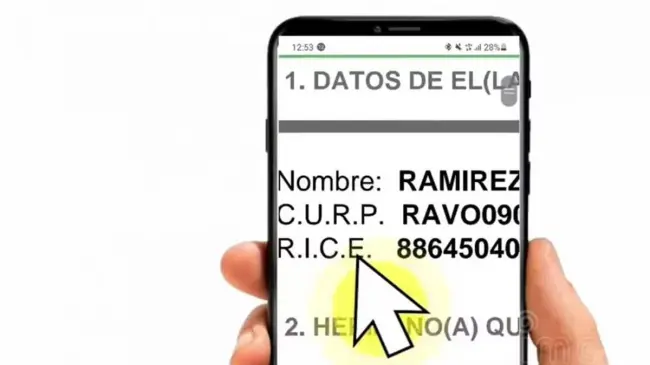 ¿Cómo sacar el RICE del alumno La SEP te explica paso a paso como descargarlo.
