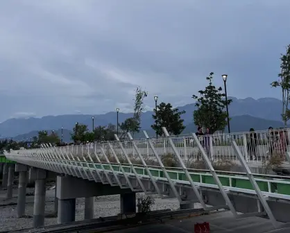 Qué hacer y que ver en el Puente Verde de Monterrey.