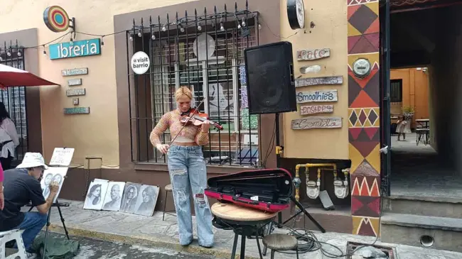 Mercadito del Barrio Antiguo.