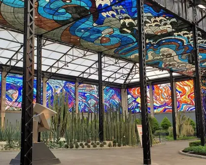 Reflejos de la naturaleza: el arte del "Cosmovitral" y los jardines botánicos