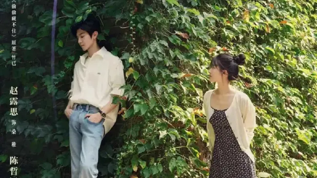 Drama chino Amor Oculto o Hidden Love.