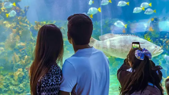 Acuario Inbursa, ubicado en la Ciudad de México.