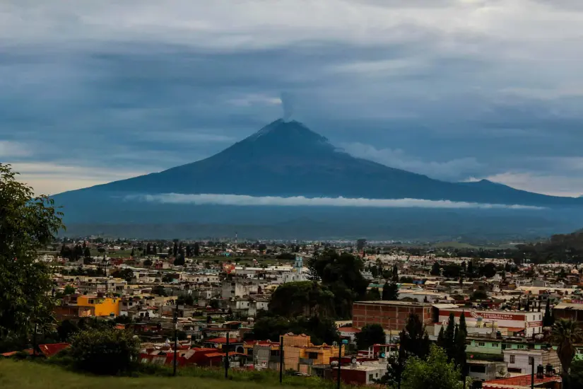 Colectivos como Puebla Verde utilia redes sociales para sensibilizar a la sociedad.