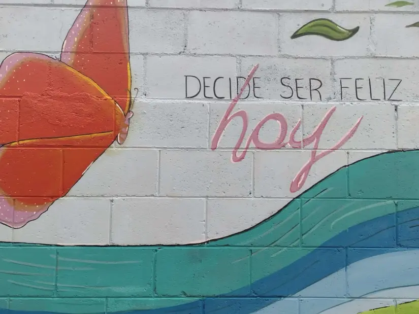 Con la participación de toda la comunidad se logró crear un hermoso mural en el Parque San Sebastián.