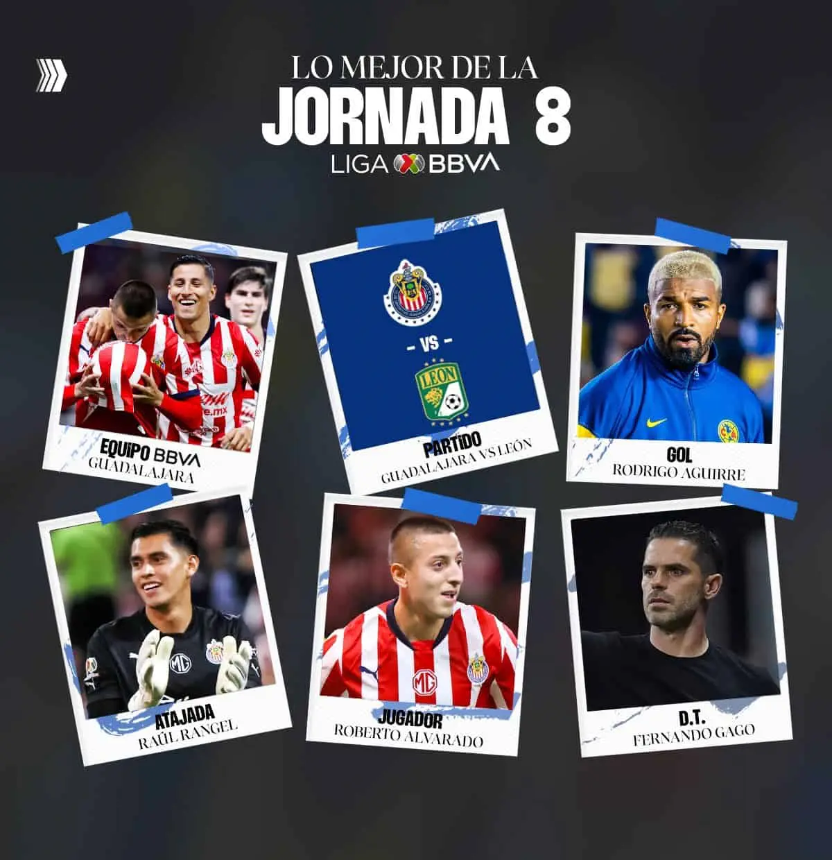 Desacatado de la fecha 8 | Imagen: Liga MX