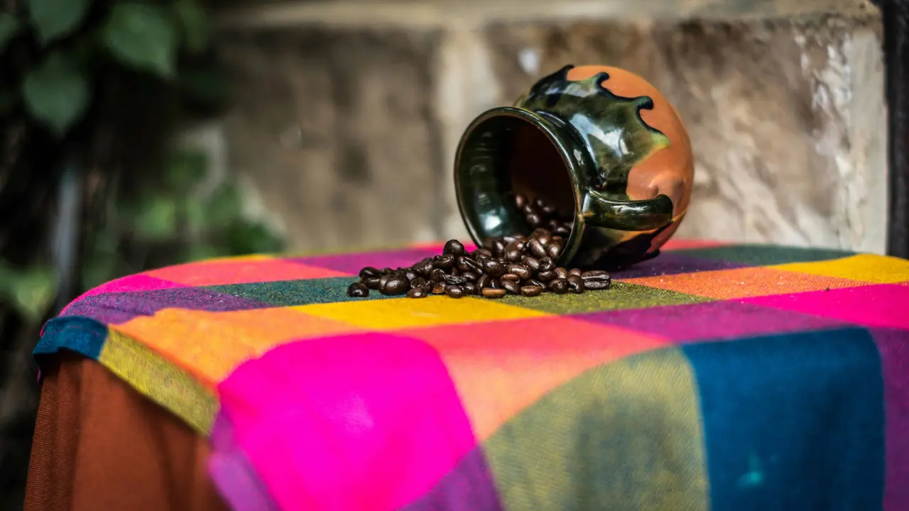 Explora los diferentes lugares de café-literario en donde puedes disfrutar de una deliciosa taza de café y un ambiente muy agradable en la ciudad. Foto: Maisie Kanie