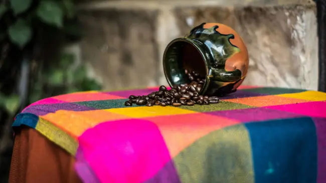 Explora los diferentes lugares de café-literario en donde puedes disfrutar de una deliciosa taza de café y un ambiente muy agradable en la ciudad. Foto: Maisie Kanie