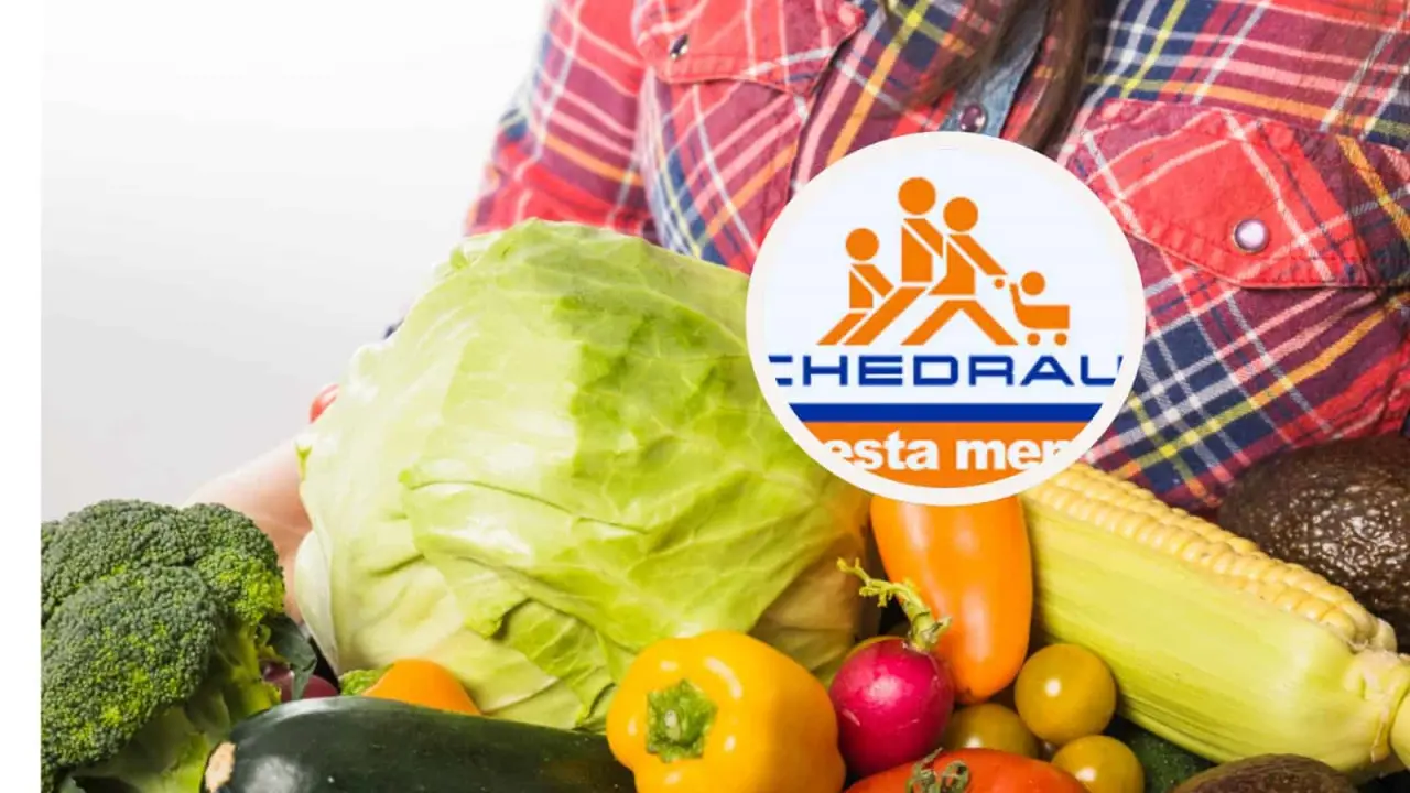 Descuentos del Martimiércoles Chedraui para el 24 y 25 septiembre 2024. Foto: Freepick-Cortesía