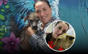 ¡Legado de empatía! Mary Patiño, precursora en esterilización y protección animal en Sinaloa