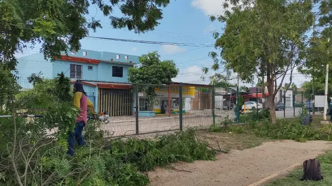 Personal de Parques y Jardines del Ayuntamiento de Culiacán, se encargaron de asear el campo deportivo y asegurar que el área esté en óptimas condiciones para su uso. Foto: Juan Madrigal