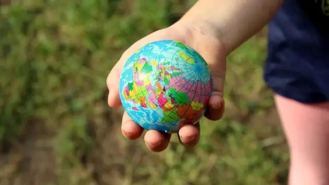 Contribuye al bienestar del planeta y tu economía evitando tirar comida. Foto:Pixabay