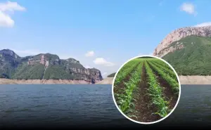 Esta es el agua disponible en las presas en Sinaloa, el miércoles la reparten