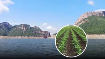 Esta es el agua disponible en las presas en Sinaloa, el miércoles la reparten