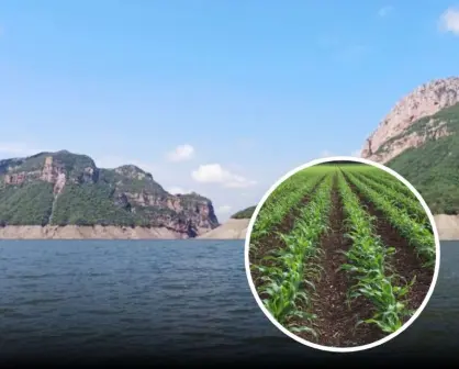 Esta es el agua disponible en las presas en Sinaloa, el miércoles la reparten