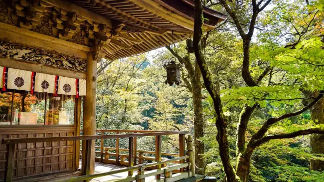 Paisaje japonés. Foto. Pixabay