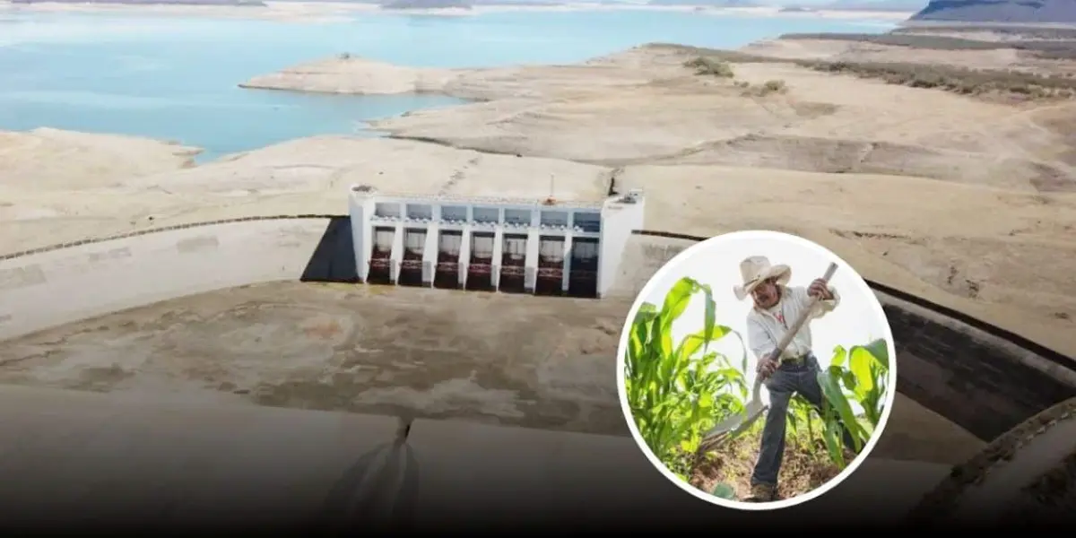 Ya definieron el reparto de agua de las presas y superficies de cultivo en Sinaloa.