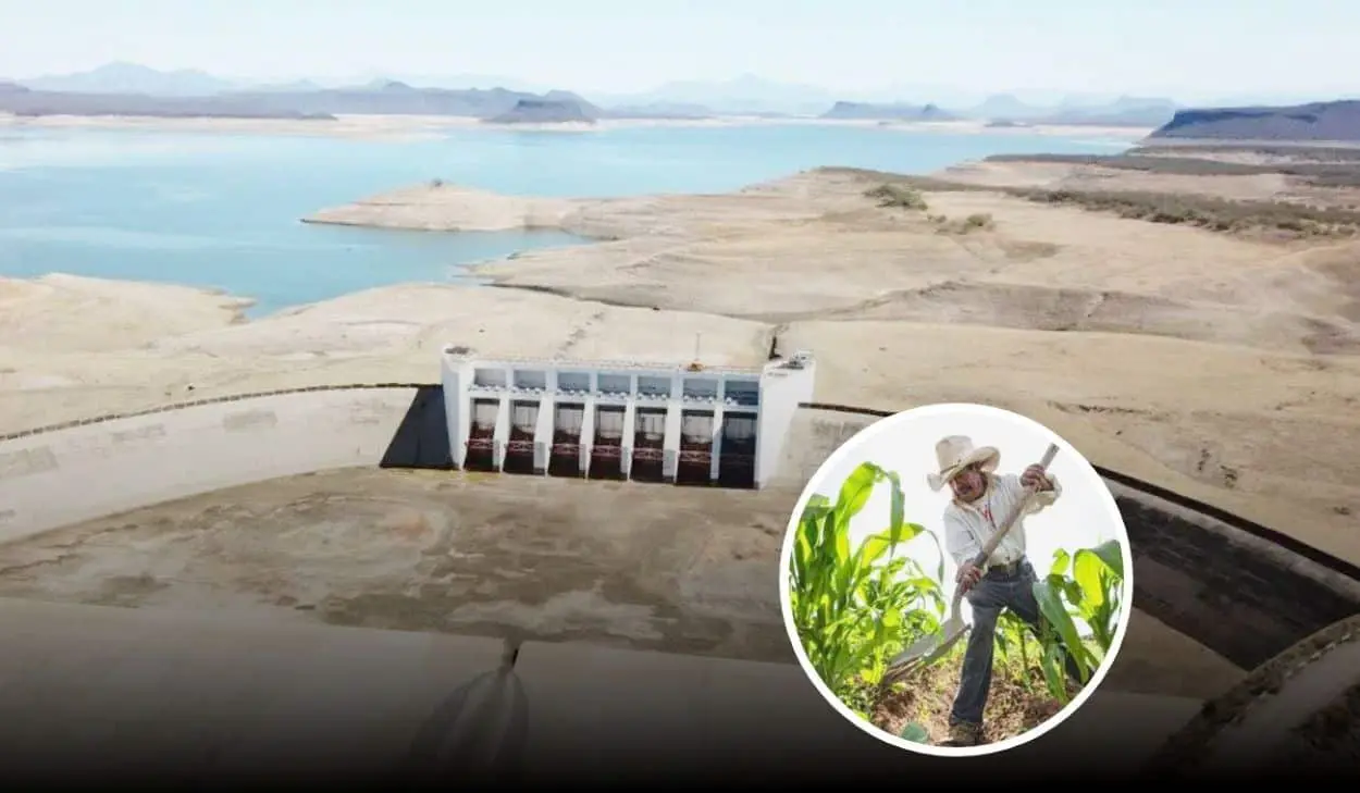 Ya definieron el reparto de agua de las presas y superficies de cultivo en Sinaloa.