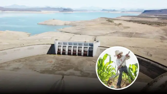Ya definieron el reparto de agua de las presas y superficies de cultivo en Sinaloa.