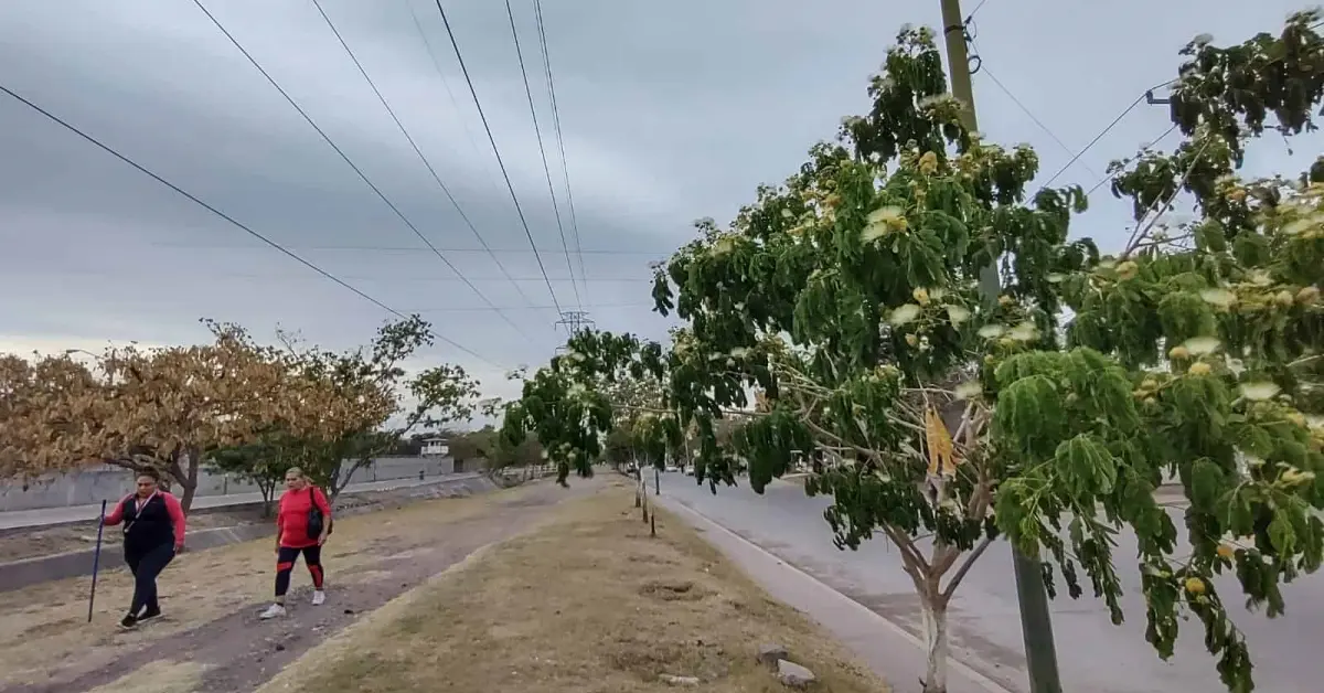 El bulevar de las Brisas es un espacio de convivencia y comercio en Culiacán