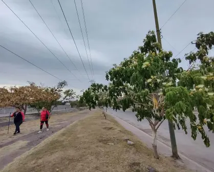 El bulevar de las Brisas es un espacio de convivencia y comercio en Culiacán