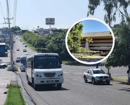 ¿Qué rutas de camiones pasan por el Palacio de Gobierno en Culiacán?