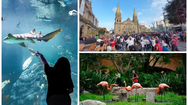 Descubre las atracciones turísticas de Guadalajara, Jalisco, Foto: Cortesía