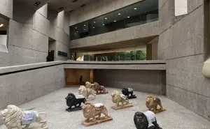 Museo Tamayo Arte Contemporáneo en la CDMX; donde se ubica, horarios y costo