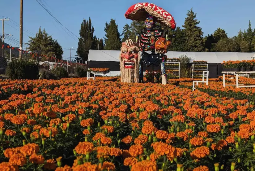 Se informó que son 22 catrinas gigantes las que forman parte del Festival Valle de Catrinas 2024 de Atlixco. Foto: Cortesía