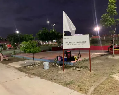 Niñas de Dance Kids Alturas del Sur levantan la bandera blanca por la paz en Culiacán