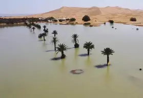 El desierto del Sahara se inundó tras fuertes lluvias no antes vistas en los últimos 50 años